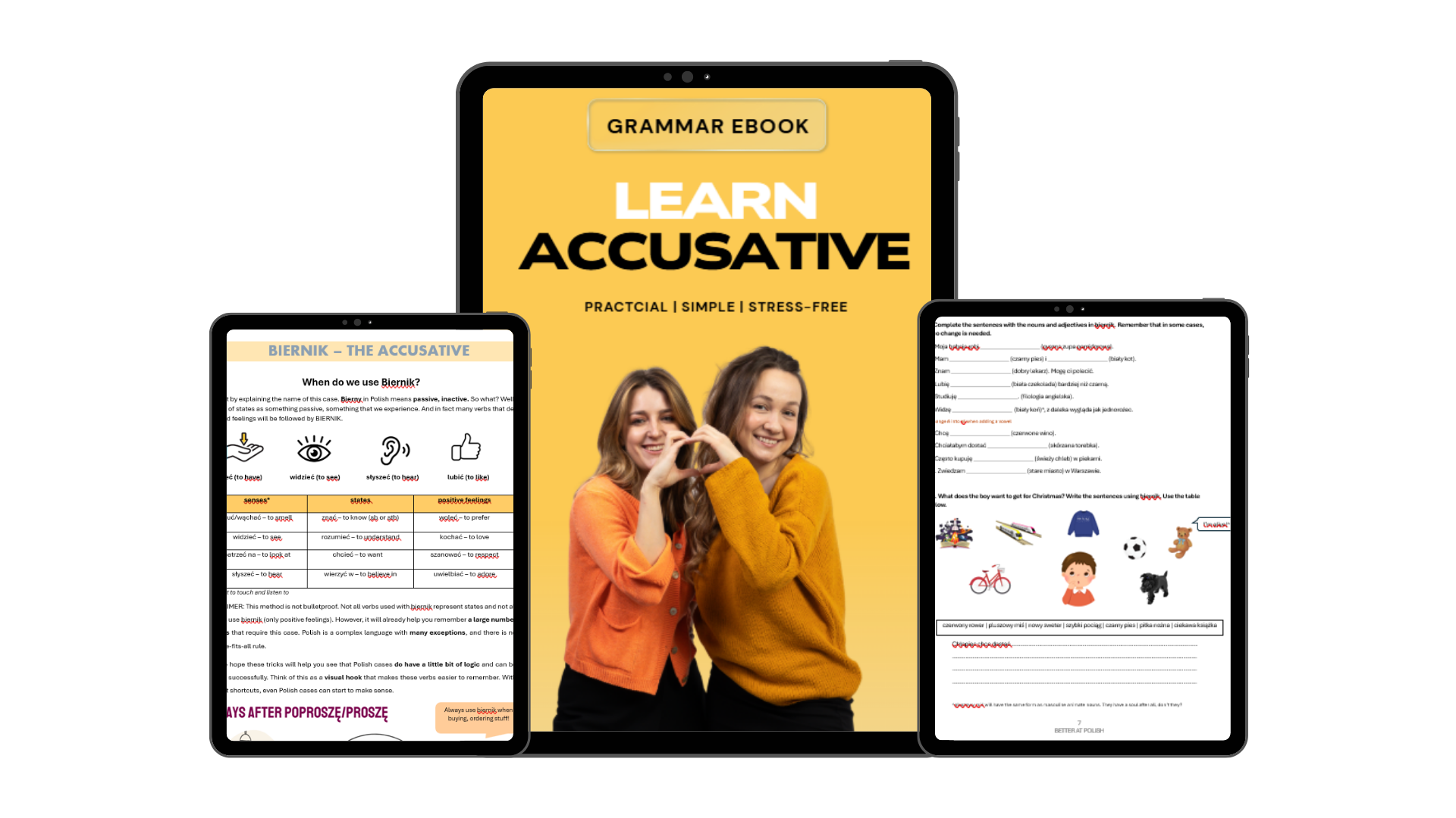 Ebook Accusative - Ebook Biernik